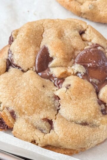Levain Inspired Double Chocolate Chip Cookies