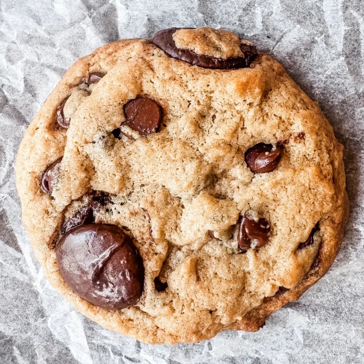 Bakery Style Sourdough Double Chocolate Chip Cookies