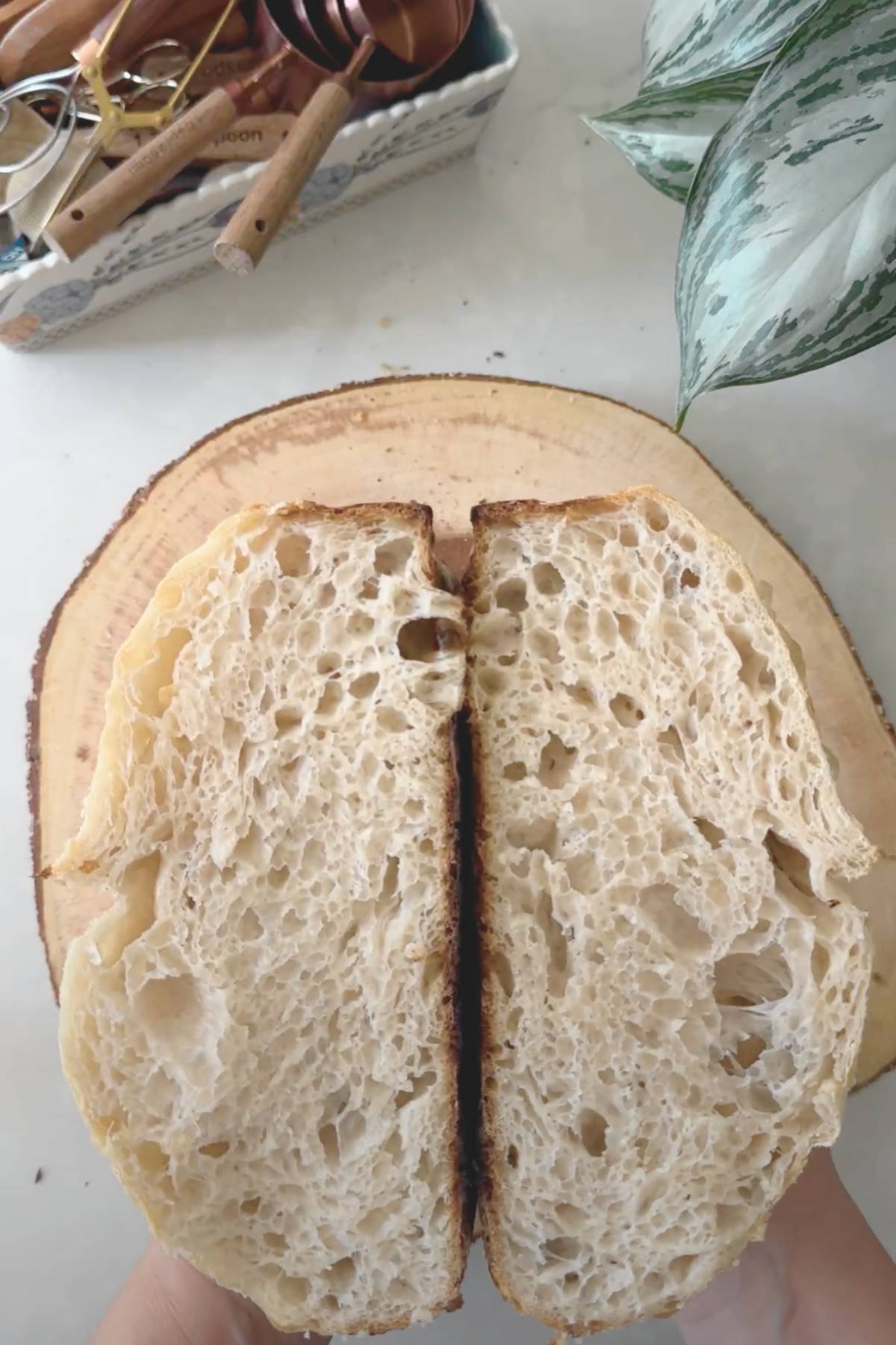 Sourdough Bread