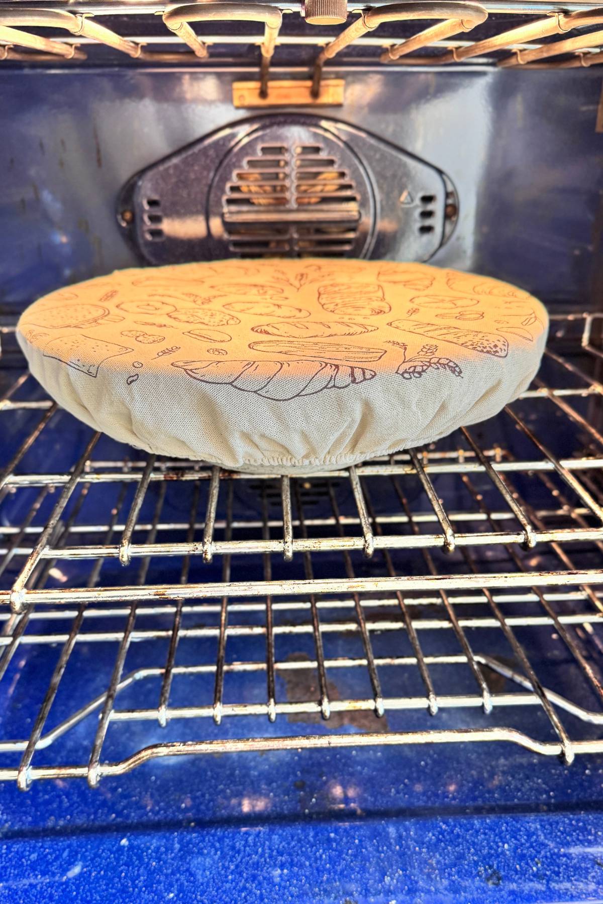 keeping the dough in the oven off with the light on while it rests