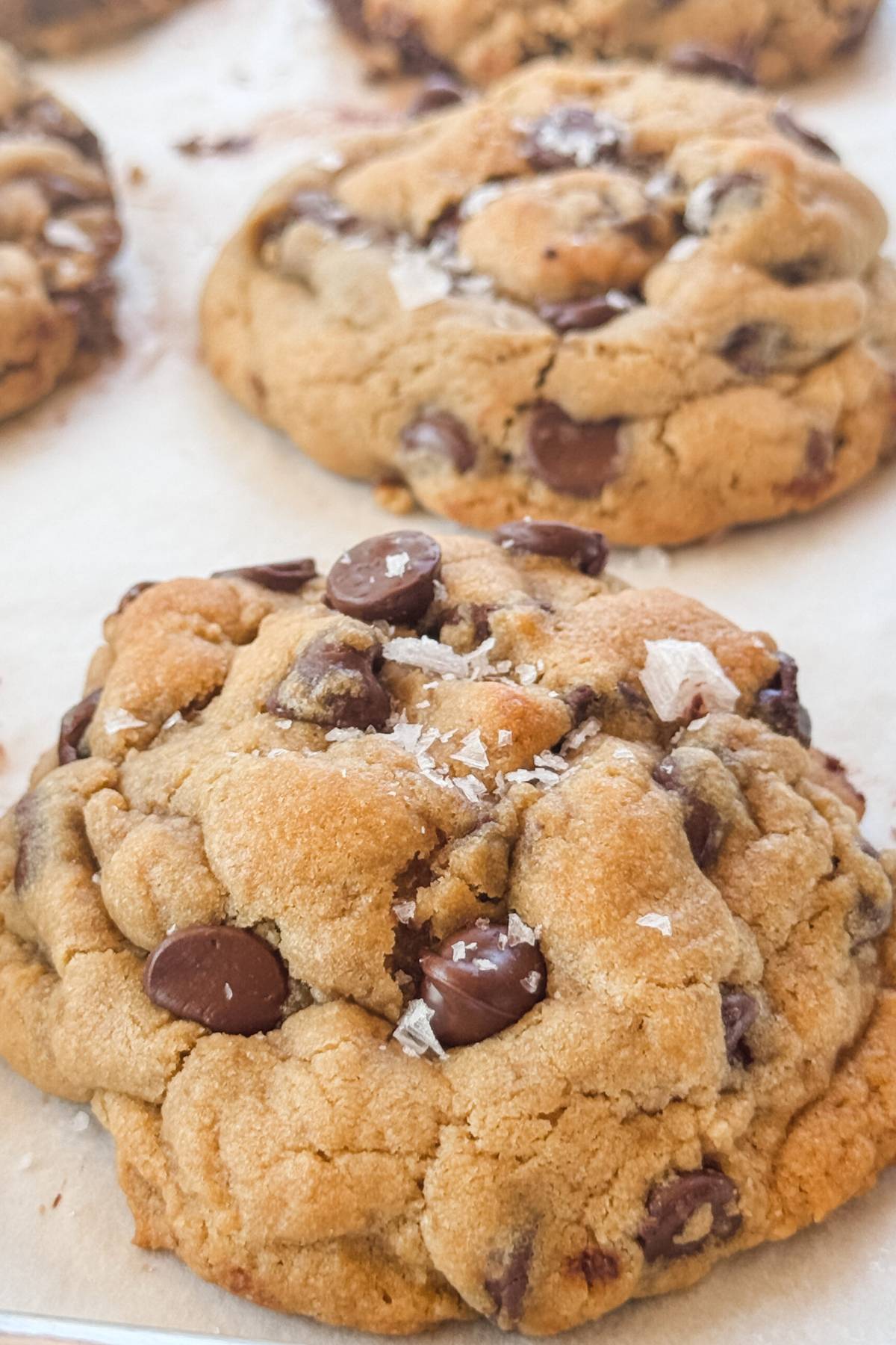 chocolate chip cookies up close