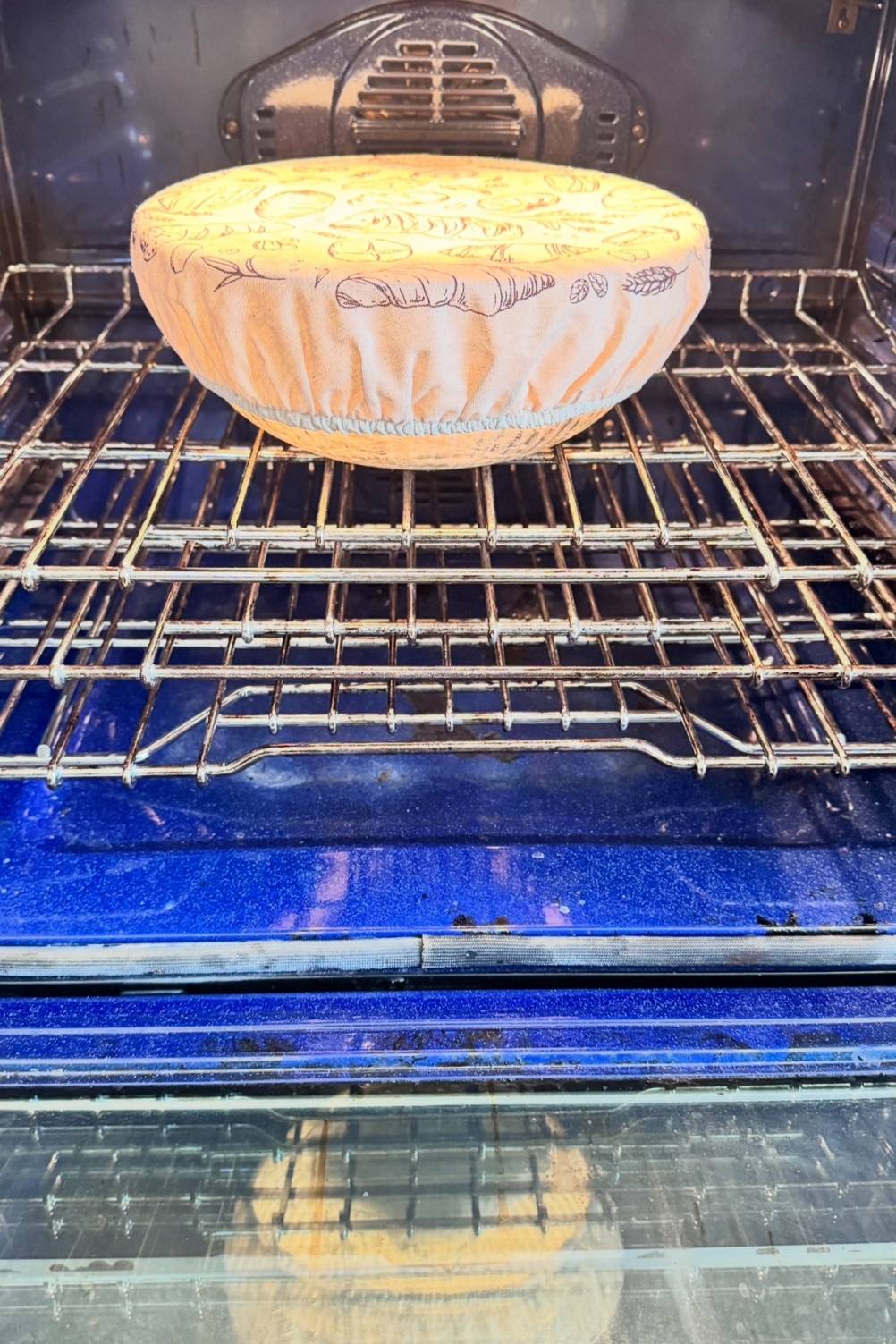 sourdough pizza dough resting in the oven