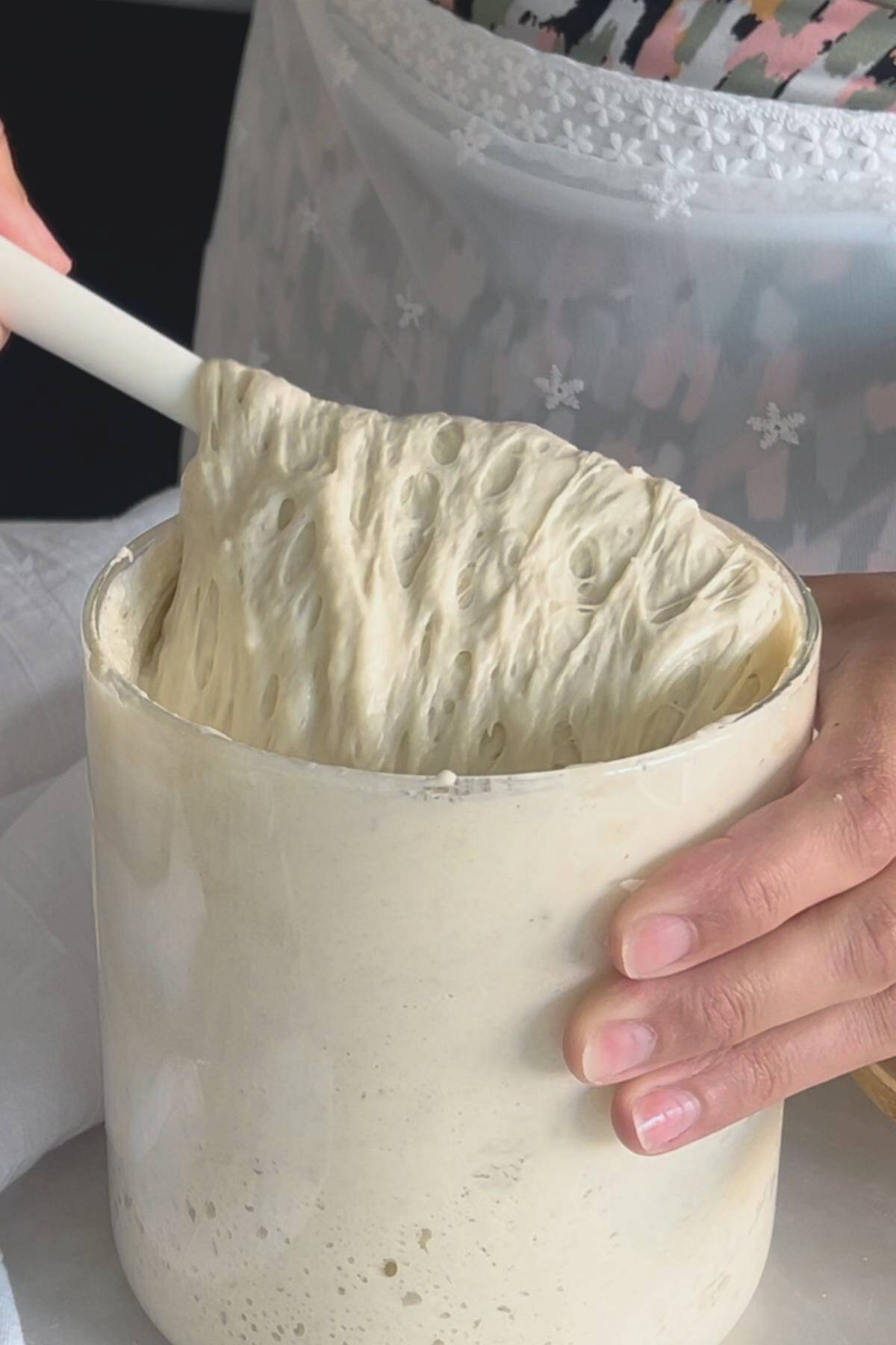 sourdough starter being stirred