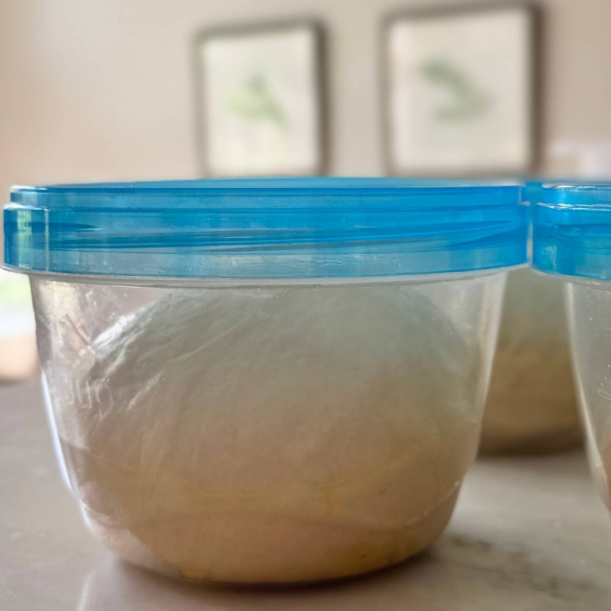 second rise of pizza dough