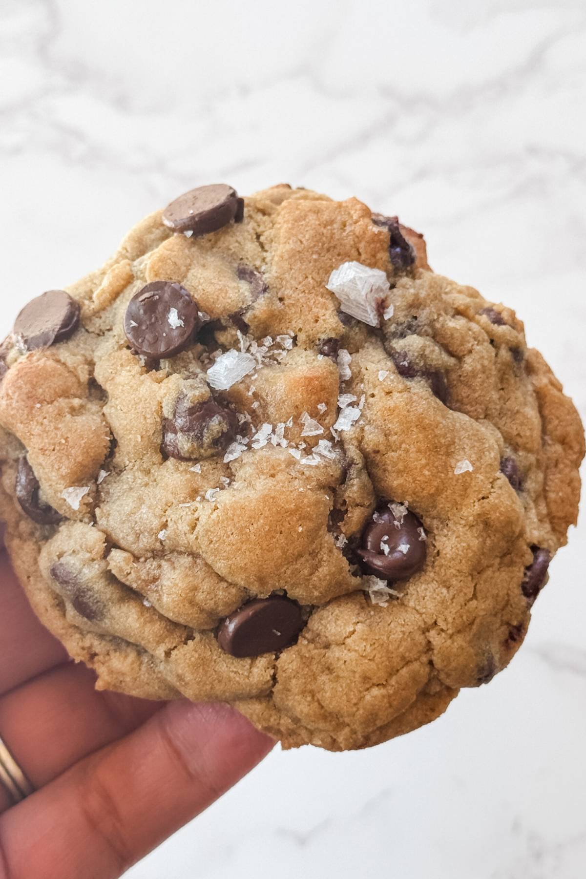 hand holding a chocolate chip cookie
