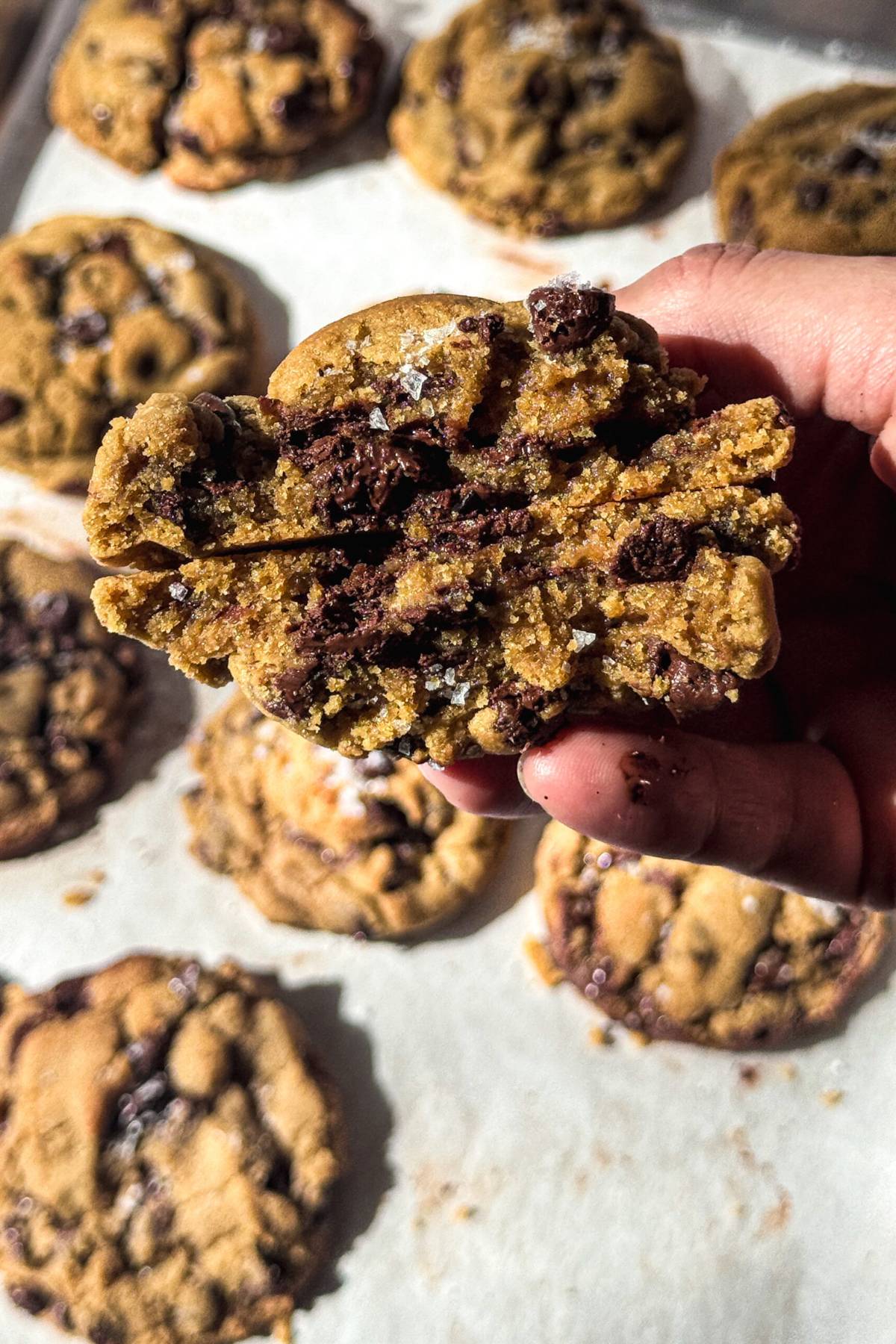 chocolate chip cookie detail