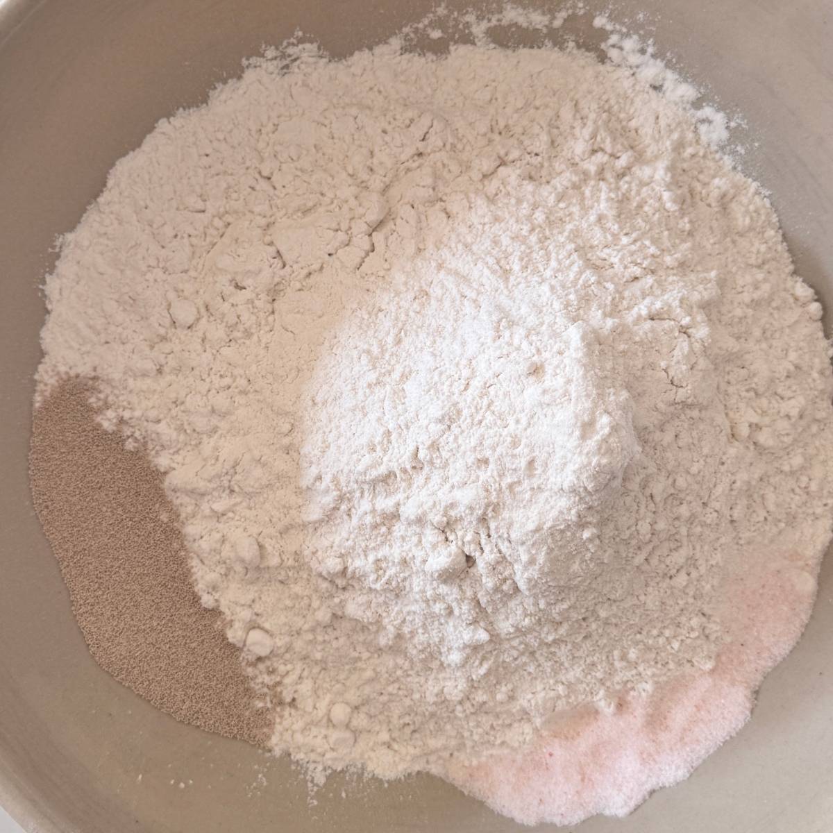 dry ingredients of a yeasted pizza