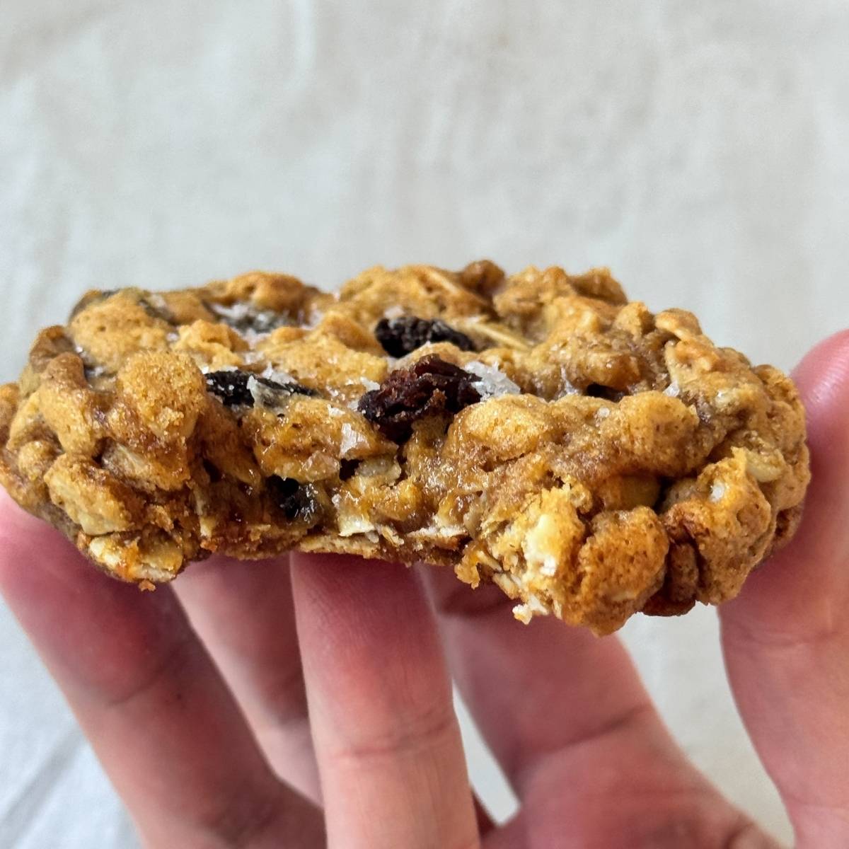 hand holding an oatmeal raisin cookie