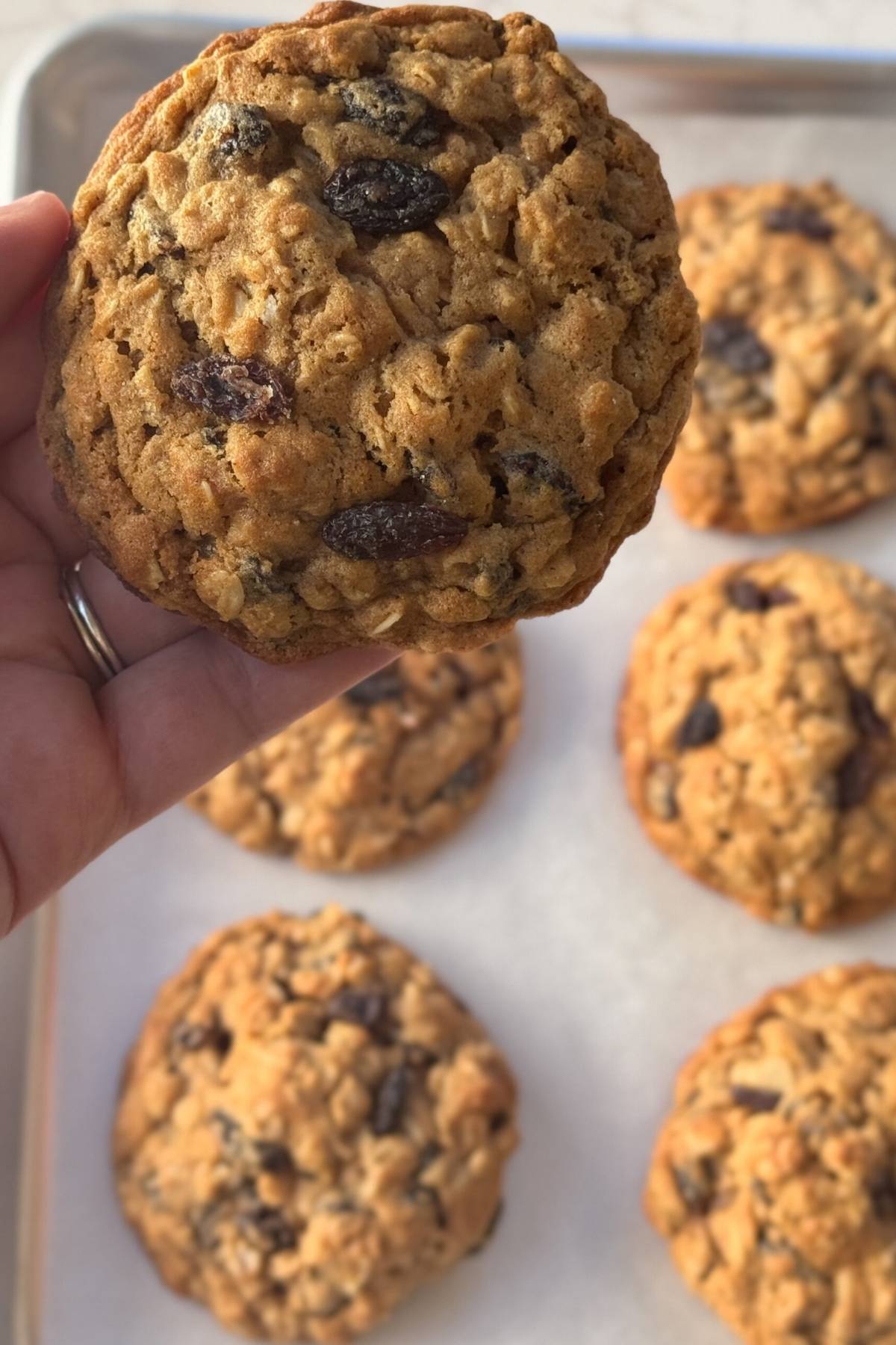 hand holding an oatmeal raisin cookie