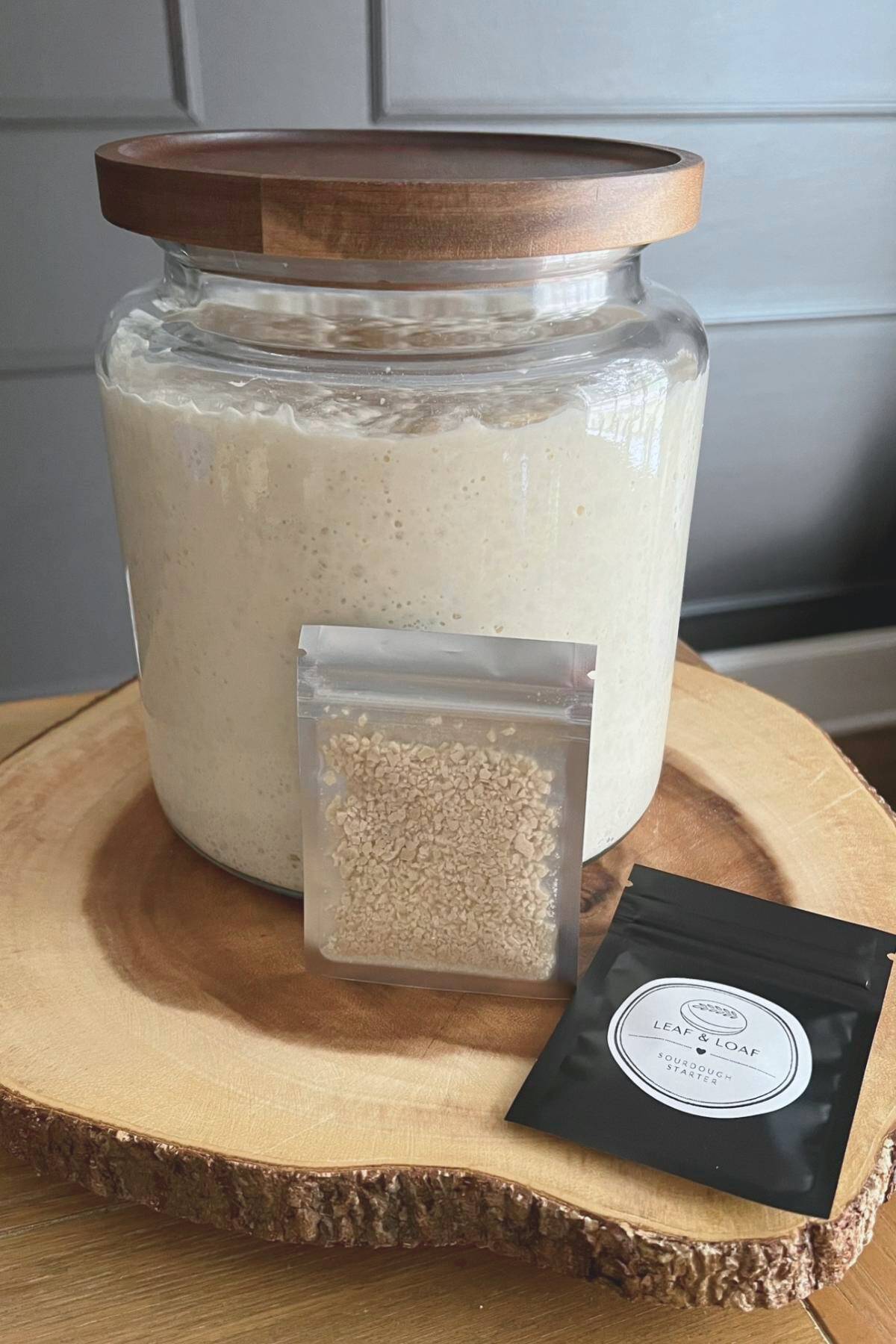 sourdough starter in a large jar and a little packet with dehydrated sourdough starter resting upon that jar