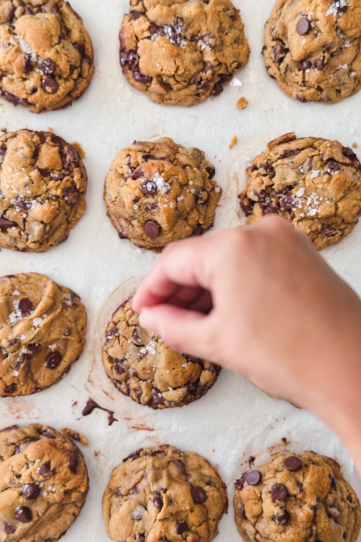 putting flaky salt on top of chocolate chip cookies
