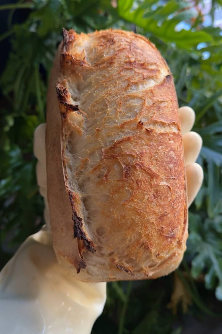 The Official Two Pan Method Guide For Baking Bread In Bulk In Home ...