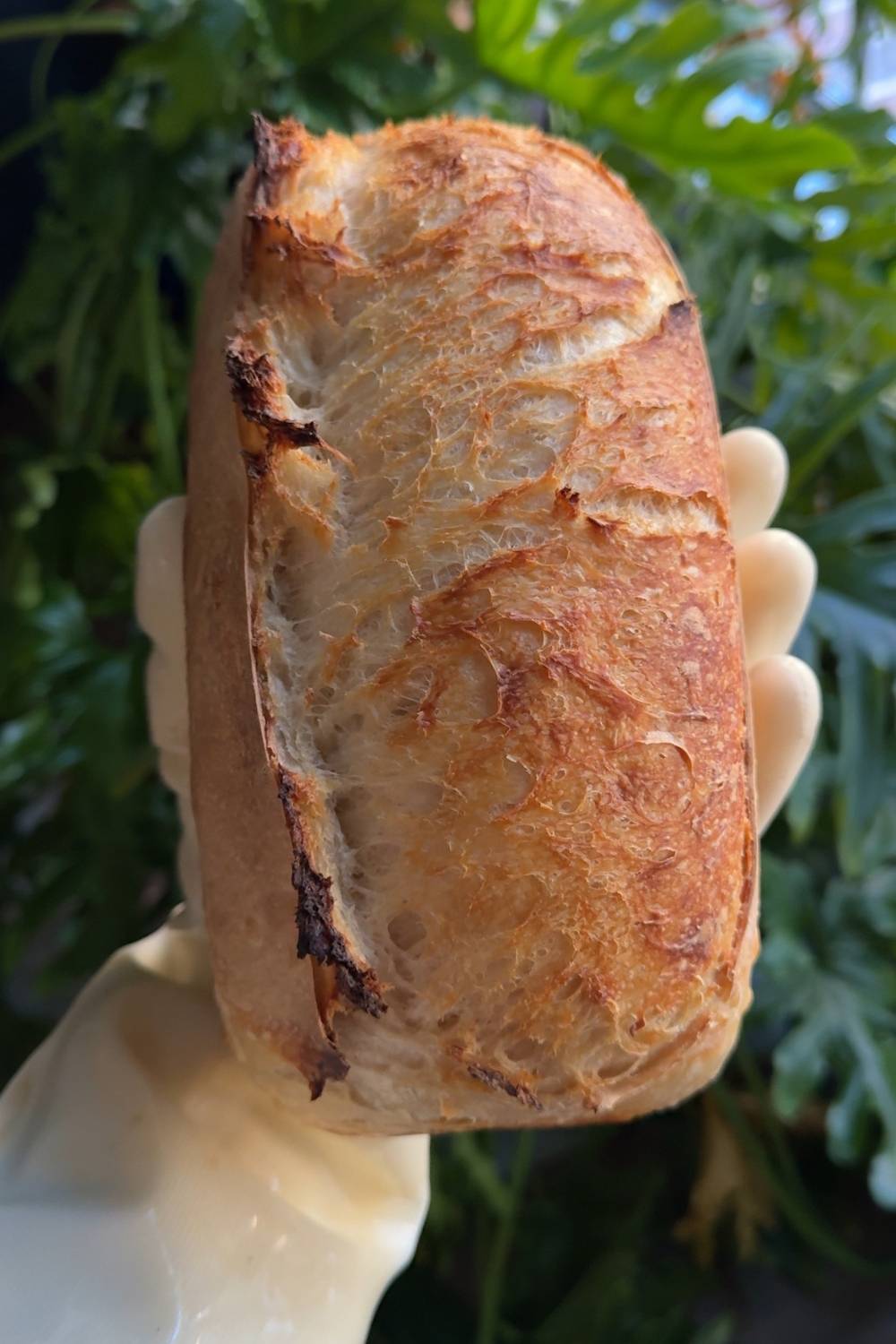loaf of bread baked using the two pan method
