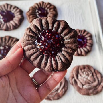 Chocolate Molded Cookies