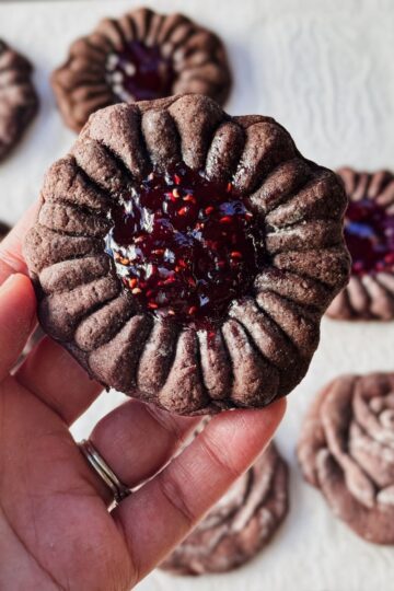 Chocolate Molded Cookies