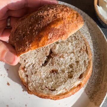 Cinnamon Sugar Bagel