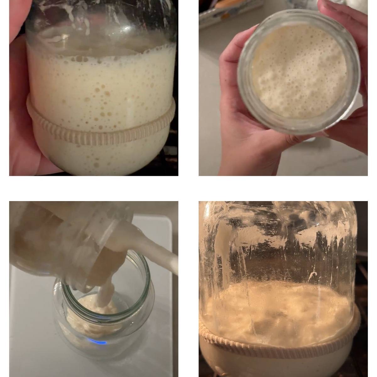 Creating a sourdough starter day 2, evening