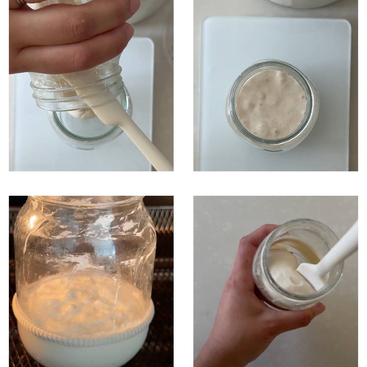 Creating a sourdough starter day 2