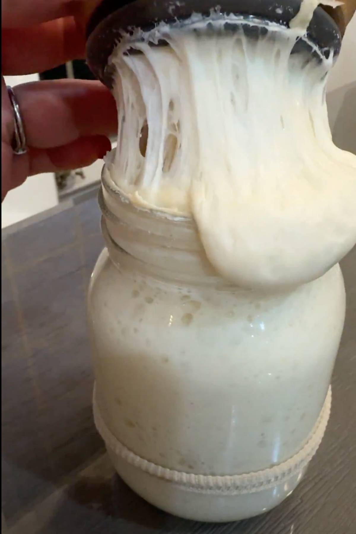 sourdough starter on the Evening of day 4