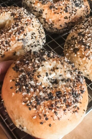 Everything Bagels