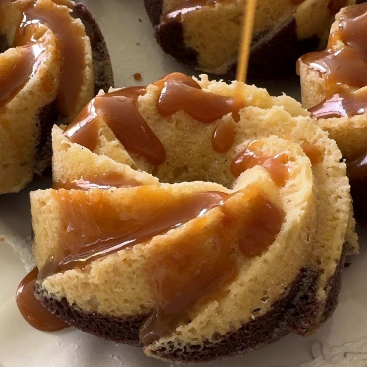 Mini Chocolate-Vanilla Bundt Cakes