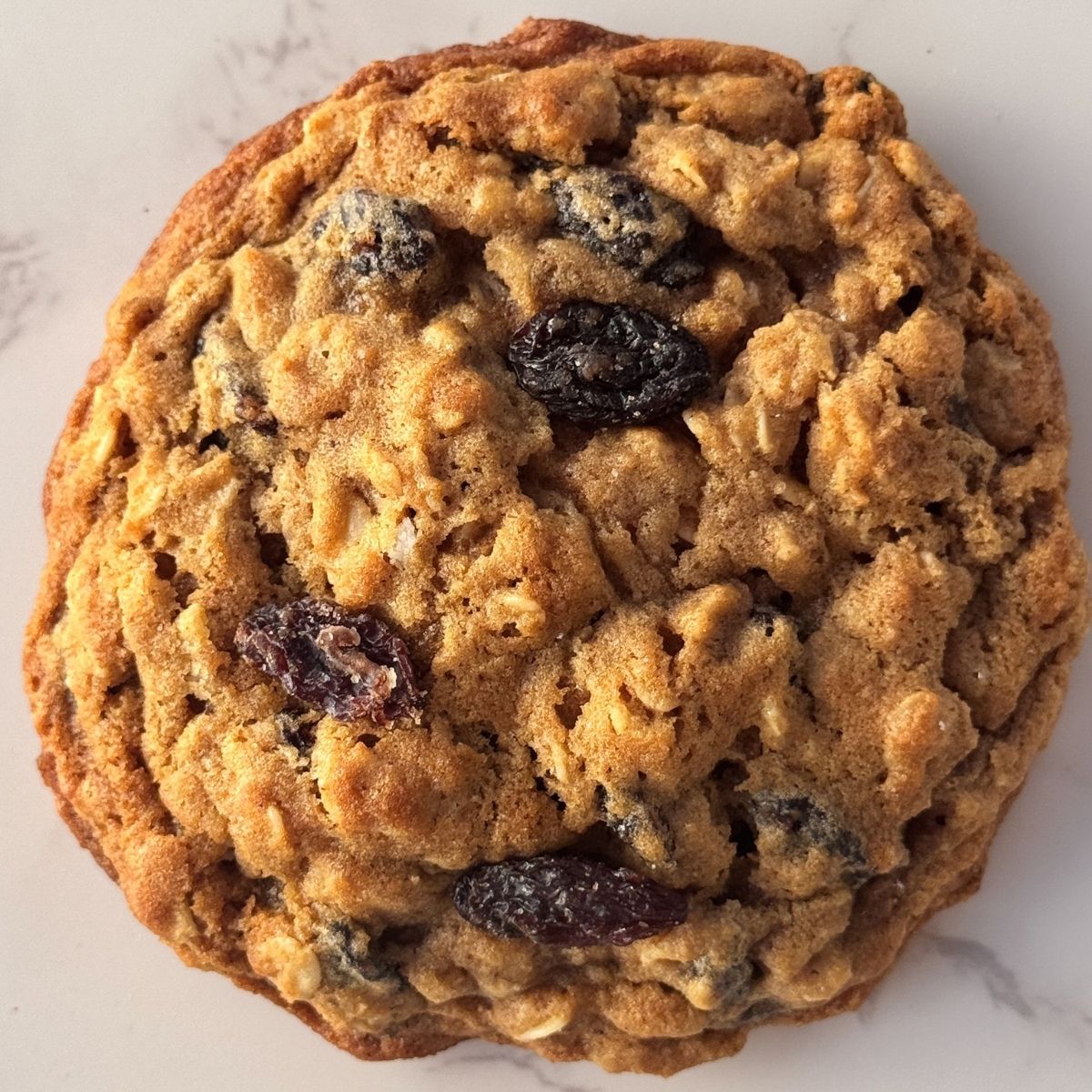 Oatmeal Raisin Cookie
