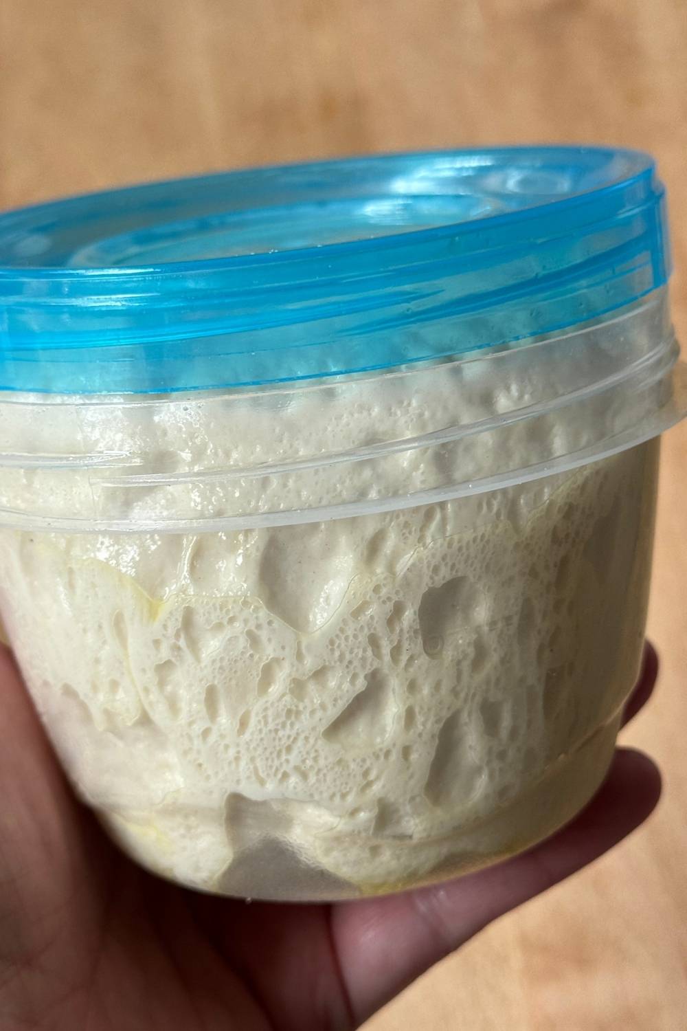 sourdough pizza dough after second rise