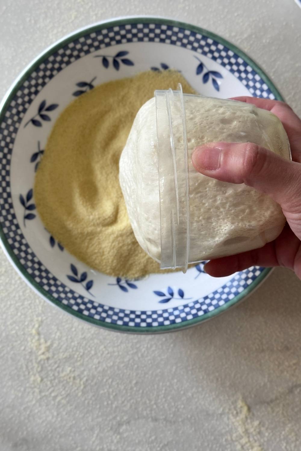 sourdough pizza dough on semolina