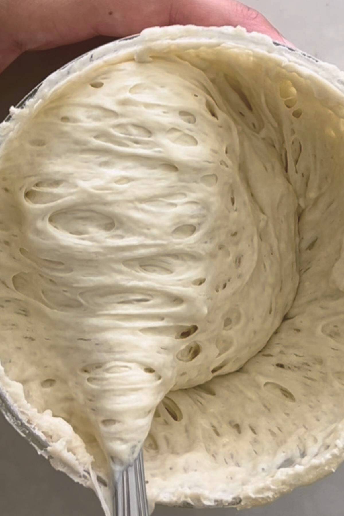 active sourdough starter