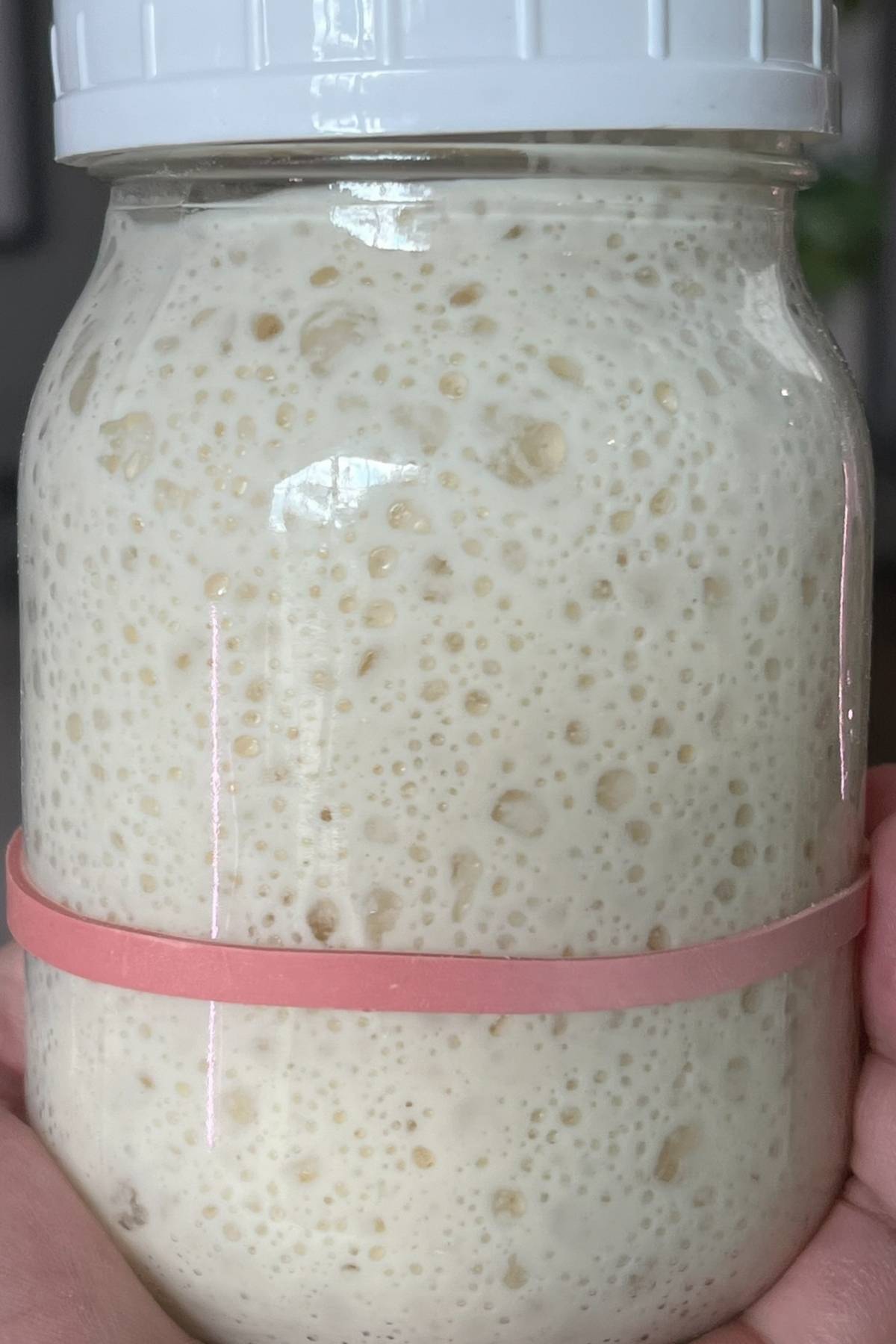 jar with sourdough starter that has more than doubled and looks very active