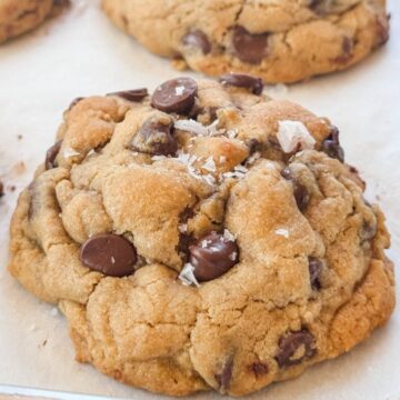 chocolate chip cookie