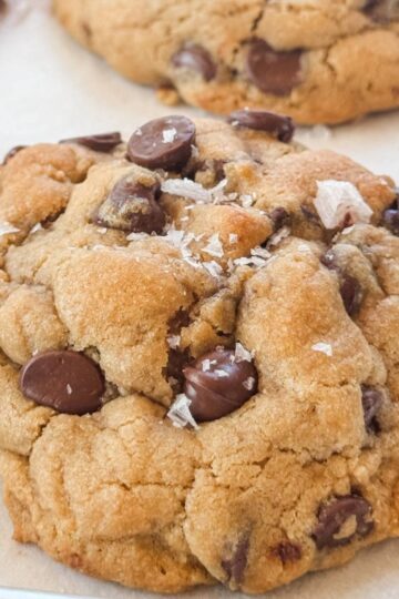 chocolate chip cookie