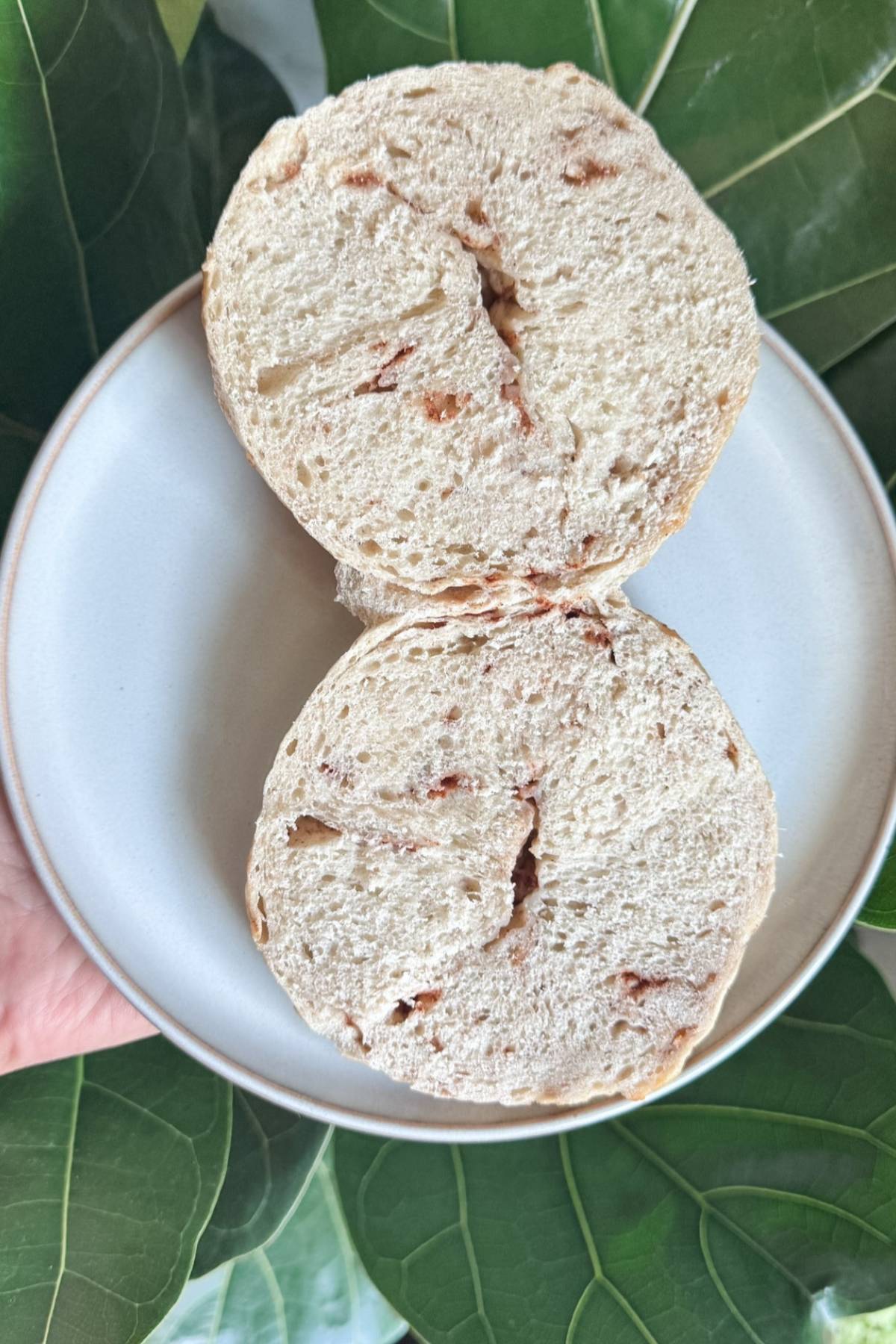 cinnamon sugar bagel split in half