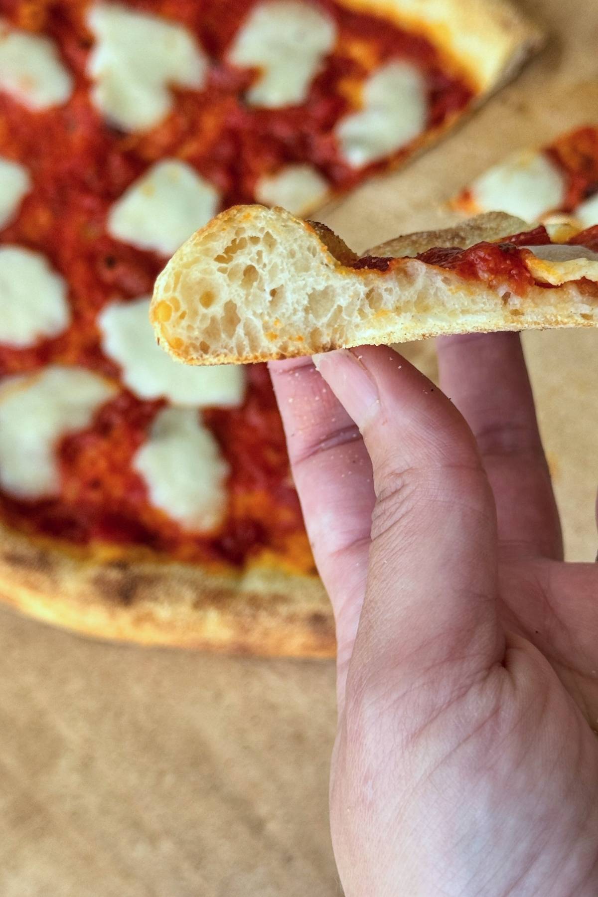 closeup of the edge of the crust on a slice of pizza
