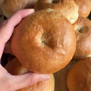 hand holding Homemade Plain Bagels