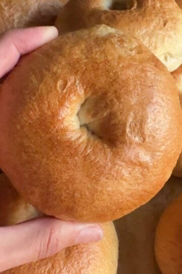 hand holding Homemade Plain Bagels