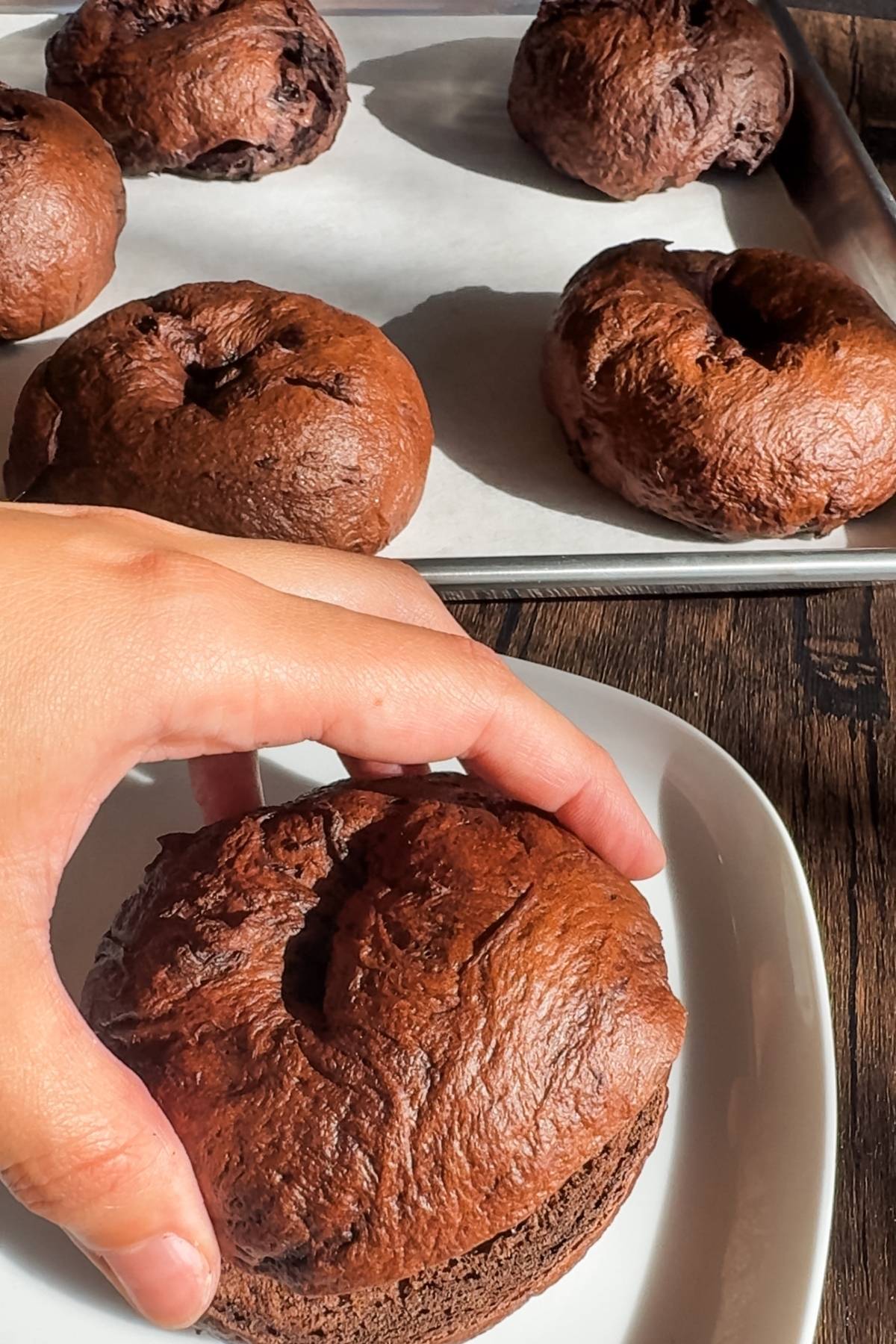 hand holding a chocolate bagel