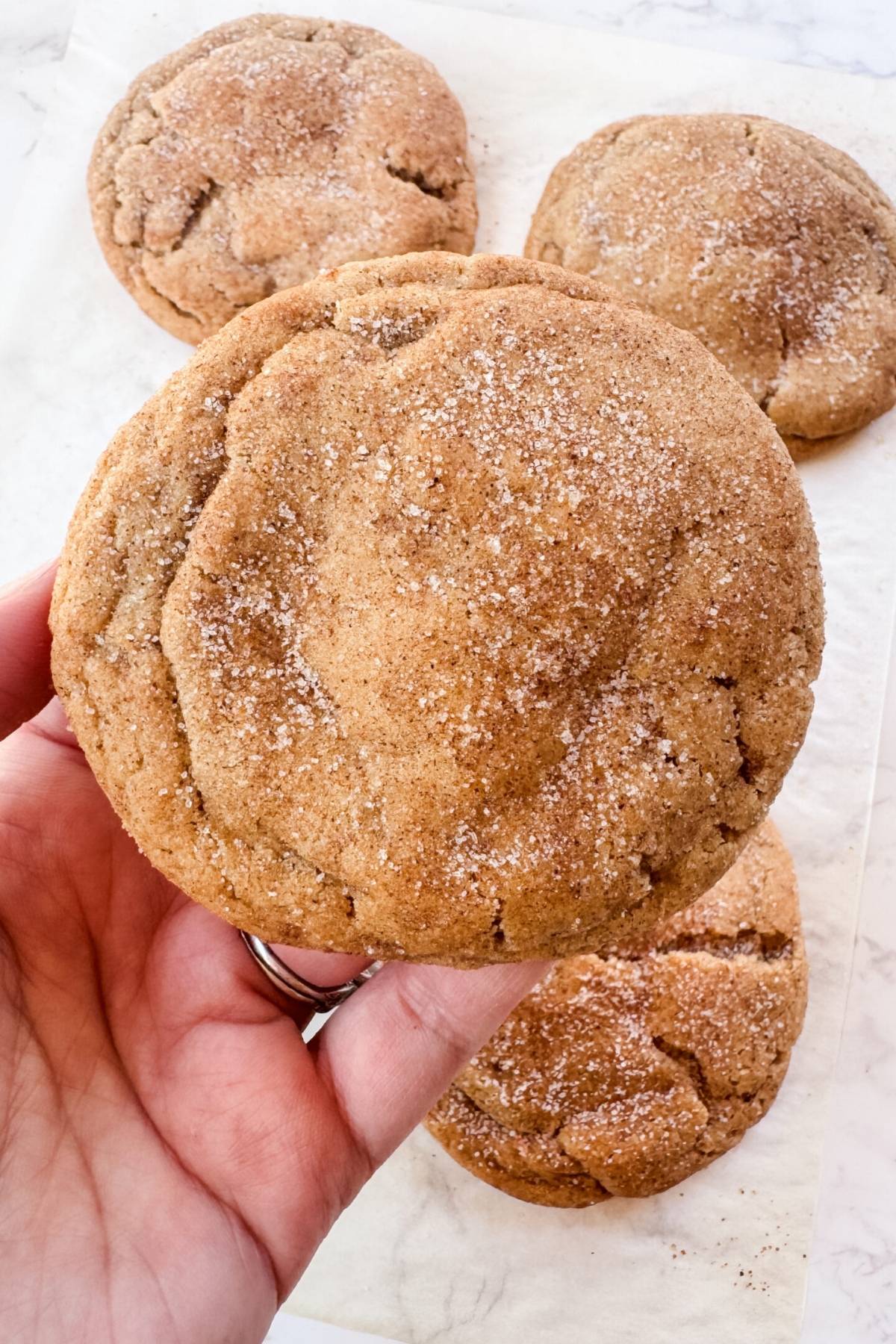 hand holding a snickerdoodle cookie