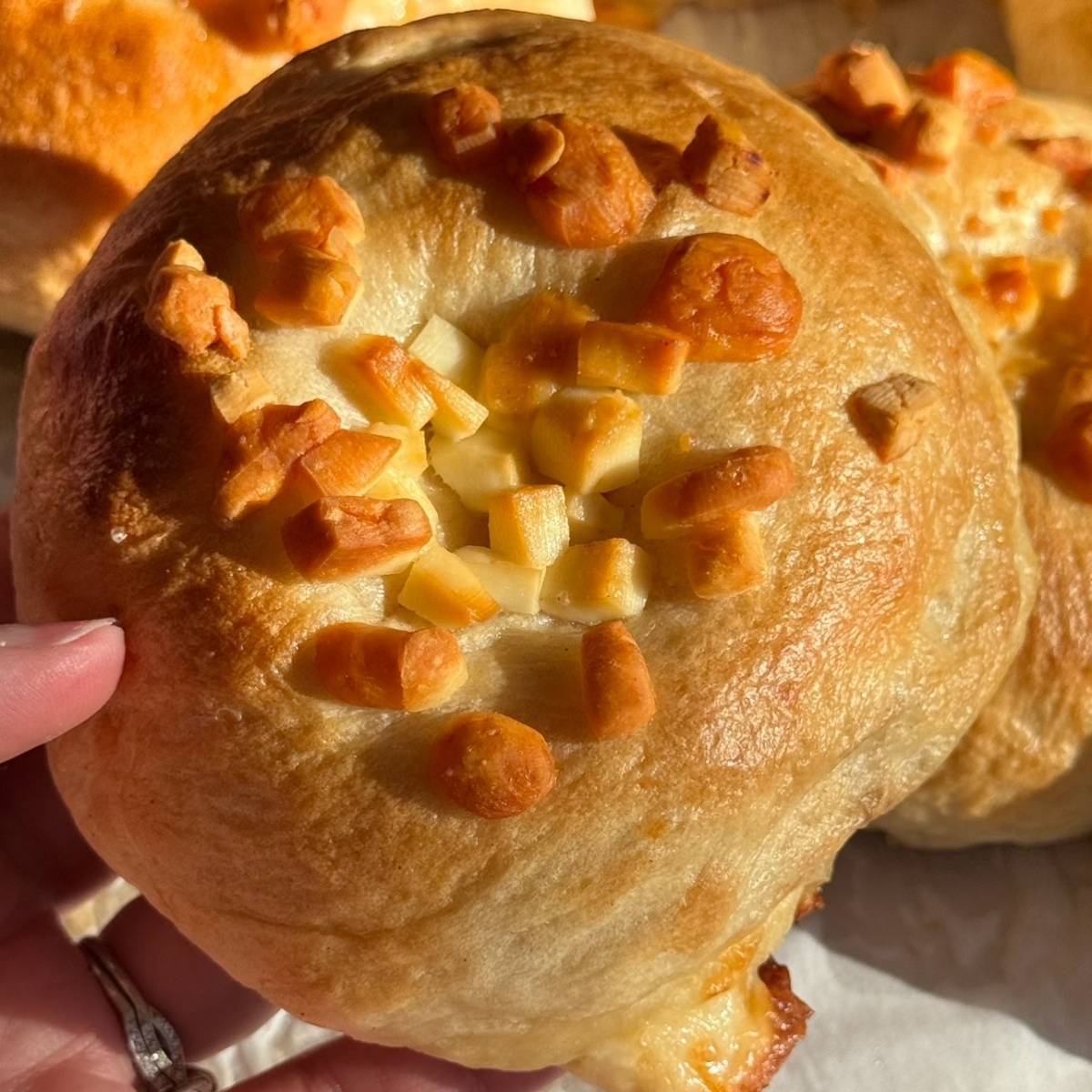 homemade asiago bagel