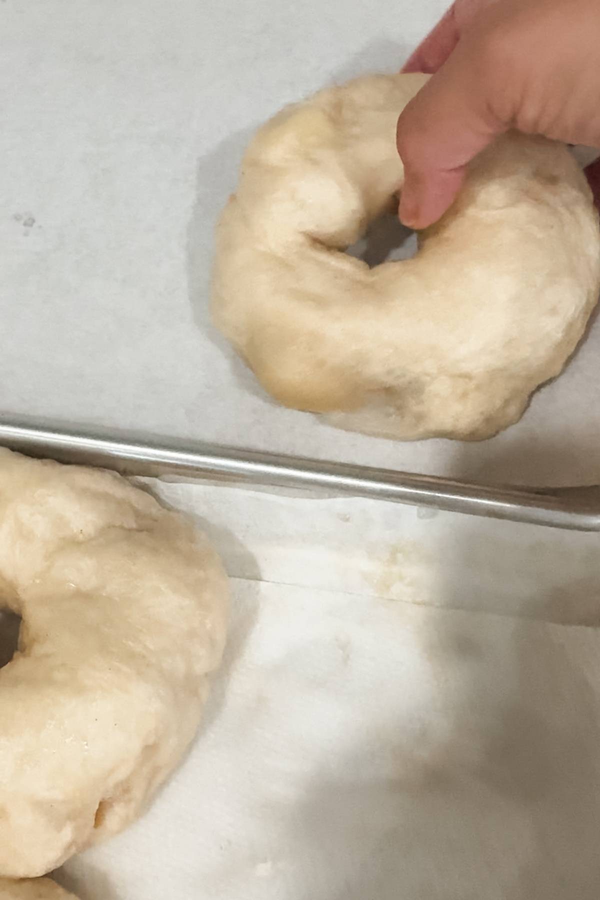 homemade asiago bagels on a baking sheet