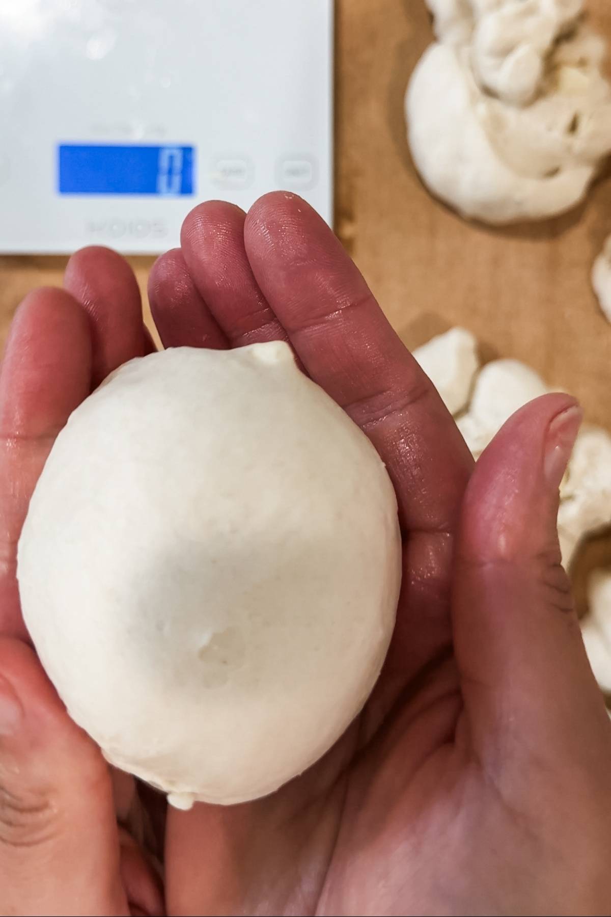 shaping the dough for homemade asiago bagels into balls