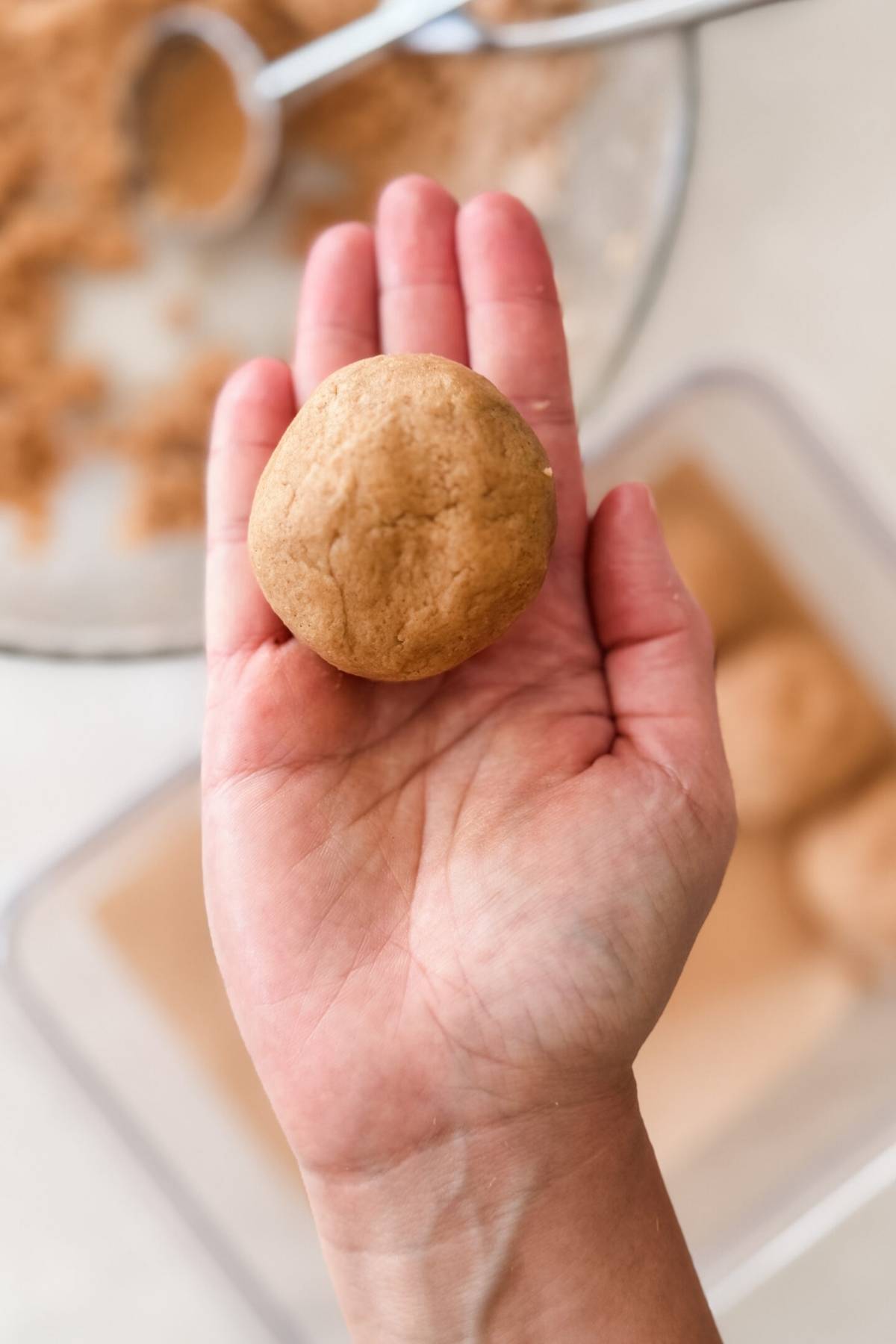 snickerdoodle cookie shaped as a smooth ball