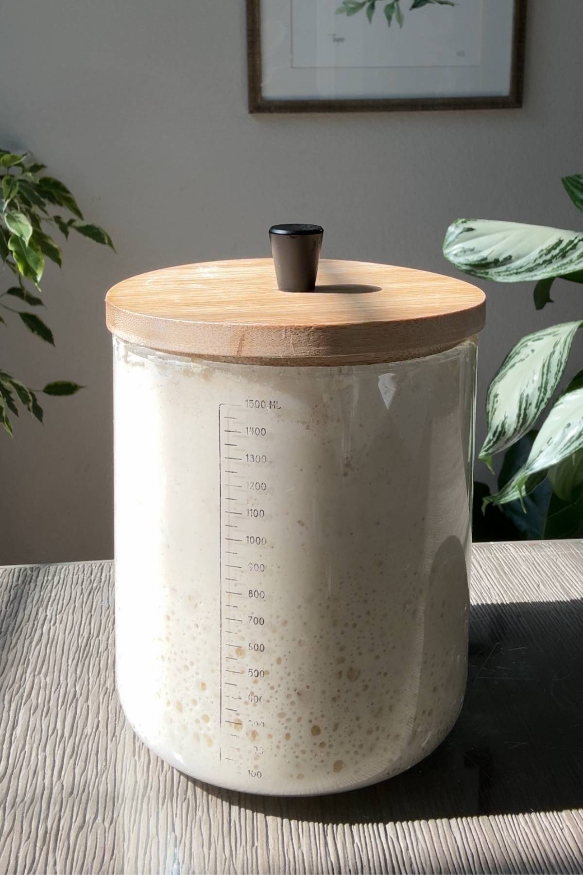 sourdough starter in a glass jar with wooden lid