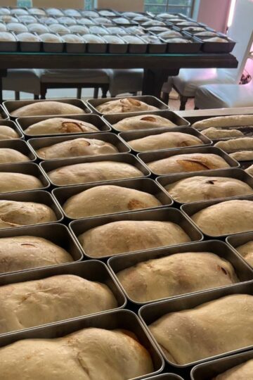 sourdough bread in loaf pans ready to be baked