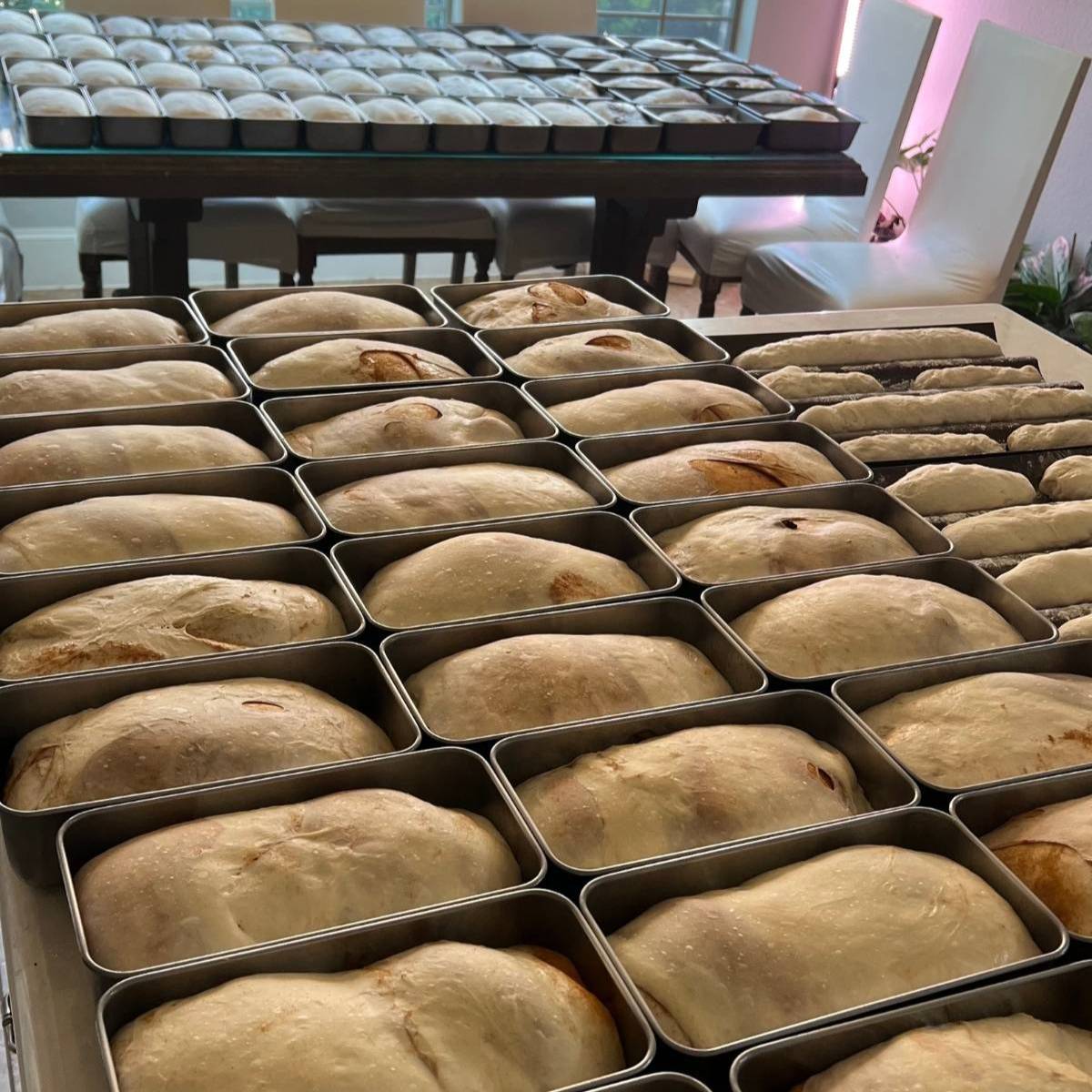 sourdough bread in loaf pans ready to be baked