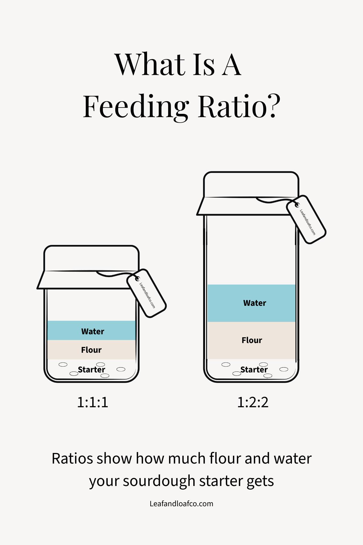 picture showing 2 different Sourdough starter ratios