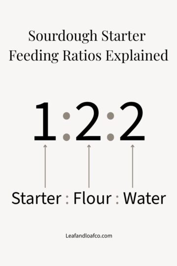picture explaining Sourdough starter feeding ratios