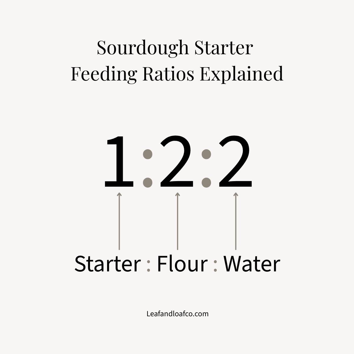 picture explaining Sourdough starter feeding ratios