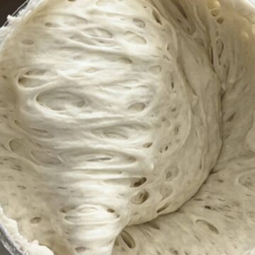 sourdough starter