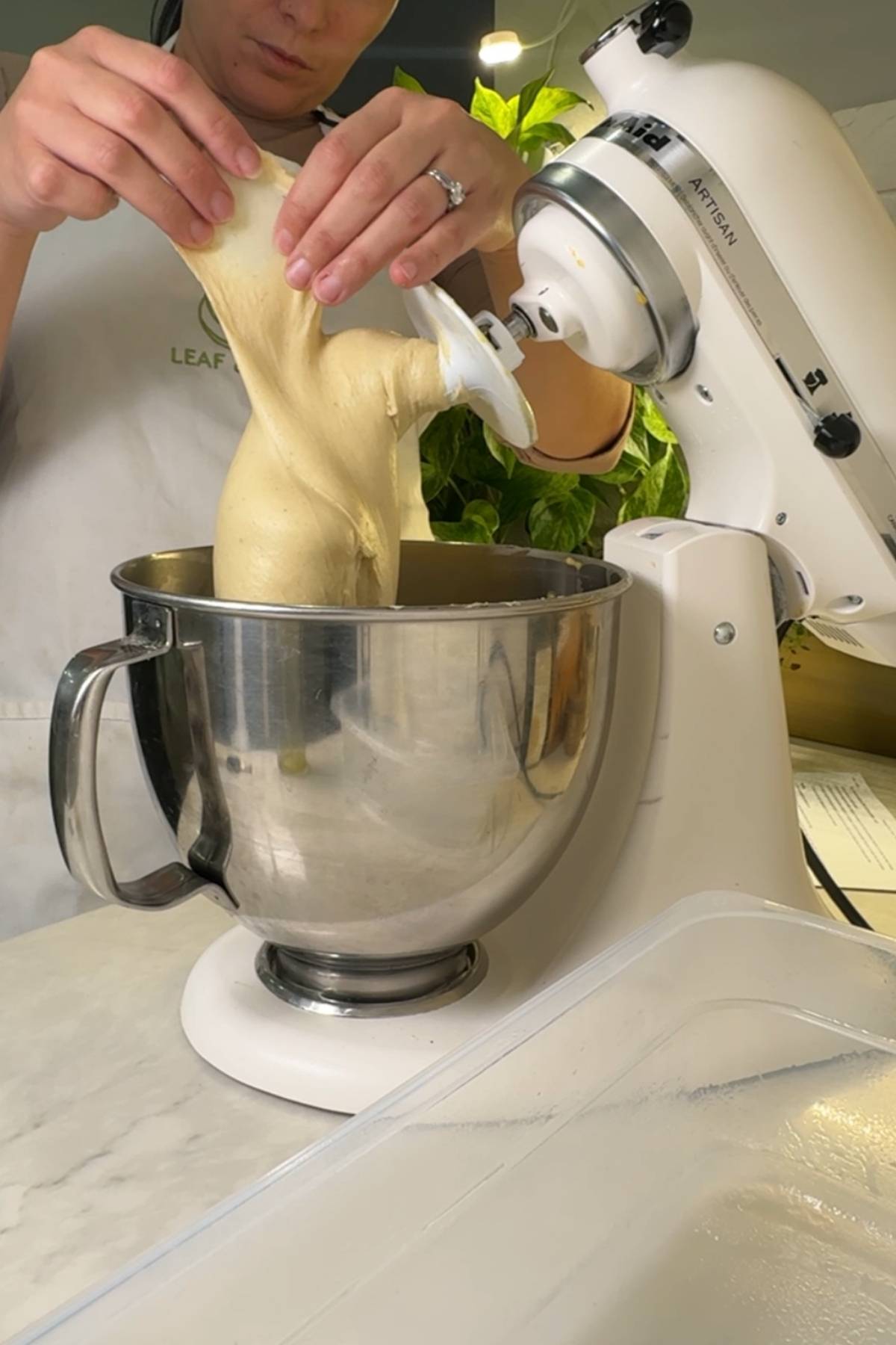 Sourdough Pan de Jamon dough passed window pane test